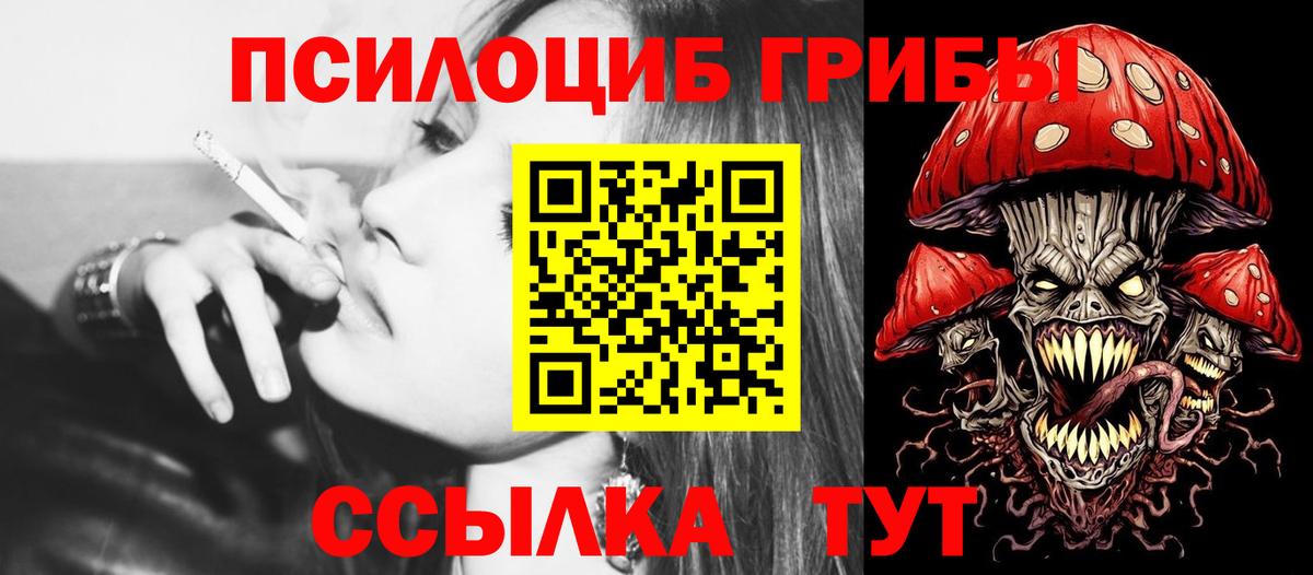 Ачхой-Мартан  Псилоцибиновые грибы ЛСД  Вход с VPN 